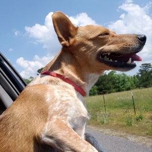 Meet your Posher, Paige